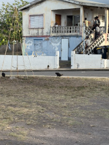 gallery-img